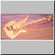 ExtremeGuitars03.jpg